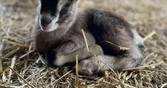 Ferme de Xéfosse Ferme de Xéfosse