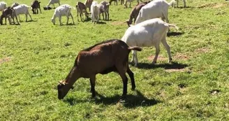 Ferme de Xéfosse Ferme de Xéfosse