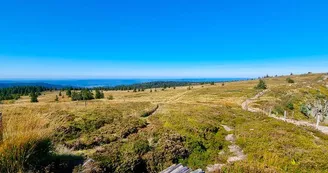 La réserve naturelle du Tanet-gazon du faing