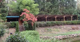 Pêche et détente / Etang des Durrenbachmatten Pêche et détente / Etang des Durrenbachmatten