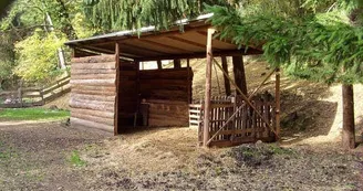 Pêche et détente / Etang des Durrenbachmatten Pêche et détente / Etang des Durrenbachmatten