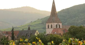 Le village de Kientzheim Le village de Kientzheim