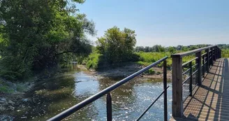 Observatoire ornithologique des Rohrmatten Observatoire ornithologique des Rohrmatten