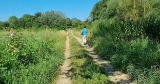 Observatoire ornithologique des Rohrmatten Observatoire ornithologique des Rohrmatten