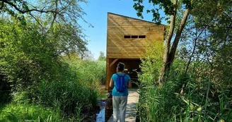 Observatoire ornithologique des Rohrmatten Observatoire ornithologique des Rohrmatten