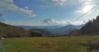 Belvédère du col de Fréland