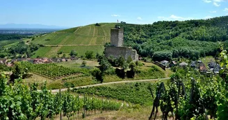 Le château du Wineck Le château du Wineck