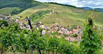Le château du Wineck Le château du Wineck