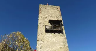 Le château du Wineck Le château du Wineck