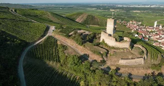 Le château du Wineck Le château du Wineck