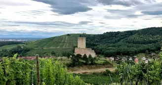 Le château du Wineck Le château du Wineck