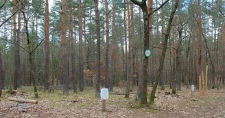 Aire de pique-nique et de jeux - D159 Aire de pique-nique et de jeux - D159