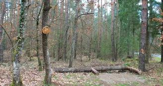 Aire de pique-nique et de jeux - D159 Aire de pique-nique et de jeux - D159
