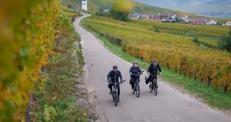 Katzenthal