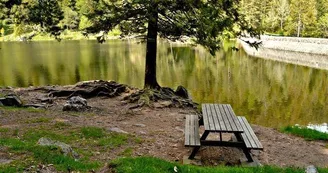 Aire de pique-nique - Lac du Forlet Aire de pique-nique - Lac du Forlet