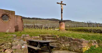 Aire de pique-nique - Route de Riquewihr Aire de pique-nique - Route de Riquewihr