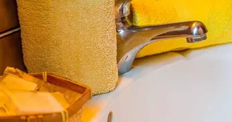 Hôtel-restaurant Auberge La Canardière