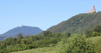 Château de l'Ortenbourg Château de l'Ortenbourg