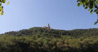 Château de l'Ortenbourg Château de l'Ortenbourg