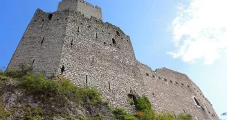 Château de l'Ortenbourg Château de l'Ortenbourg