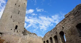 Château de l'Ortenbourg Château de l'Ortenbourg
