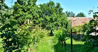 Jardin des vignes