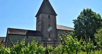 Jardin des vignes
