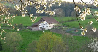 Gîte de M. Rieffel