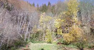 Aire de pique nique Col de Sainte-Marie-aux-Mines