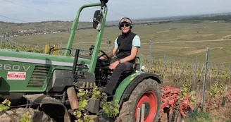 Domaine Bernhard Jean-Marc