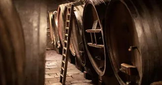 Vins Kuehn