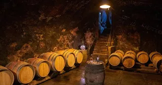 Vins Kuehn