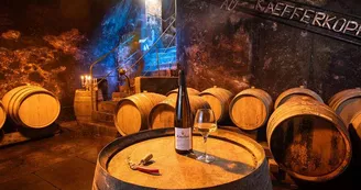 Vins Kuehn