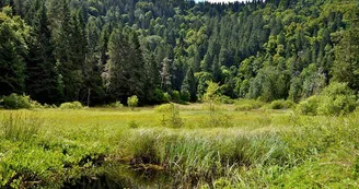 Lapoutroie