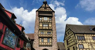 Musée du Dolder
