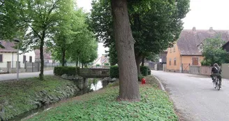 Fossé de la ville - Stadtgraben