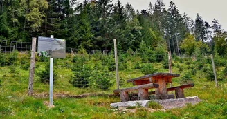 Aire de pique-nique - Sentier des muletiers Aire de pique-nique - Sentier des muletiers
