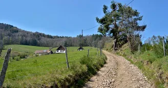 Aire de pique-nique - Sentier des muletiers Aire de pique-nique - Sentier des muletiers