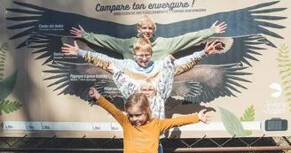 La Volerie des Aigles