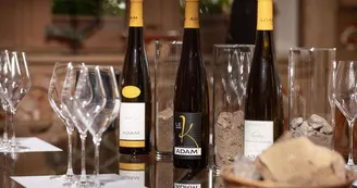 Domaine Jean-Baptiste Adam
