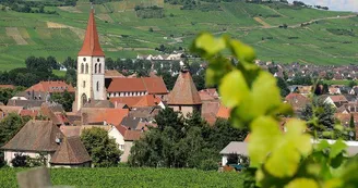 Domaine Jean-Baptiste Adam