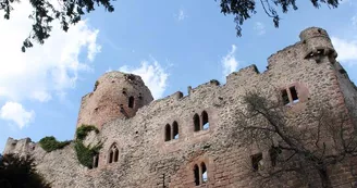 Château de Kintzheim Château de Kintzheim