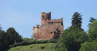 Château de Kintzheim Château de Kintzheim