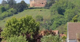 Château de Kintzheim Château de Kintzheim