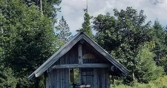 Aire de pique nique Arbre de la liberté