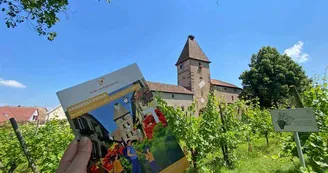 Ammerschwihr