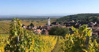 Monsieur ZIND Jean-Louis - Gite les Acacias