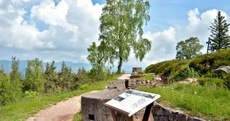 Aire de pique-nique - Baërenstall - Le Linge