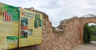 Jardin médiéval Jardin médiéval