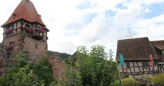 Jardin médiéval Jardin médiéval